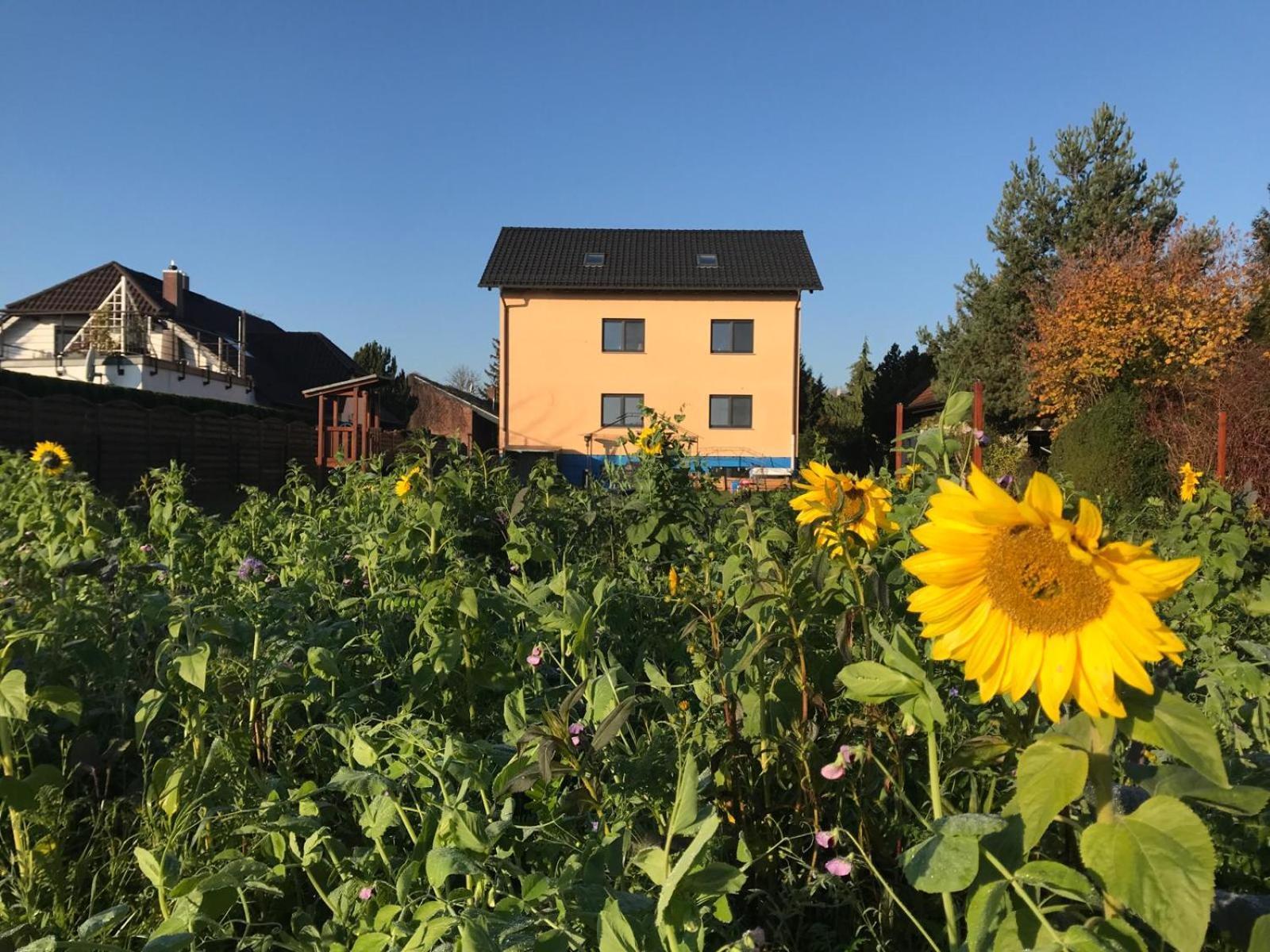 Stadt. Land. See. Ferienwohnung لبسيا المظهر الخارجي الصورة